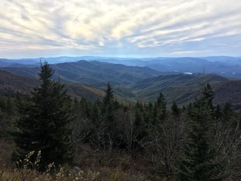 Scenic View of Great Smoky Mountains National Park.